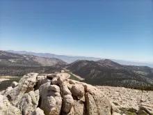 IMG_20230803_111558.jpg
