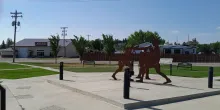 20240729_104207.jpg