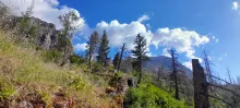 20240731_084628.jpg