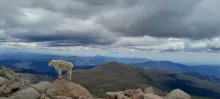 20240812_113656.jpg