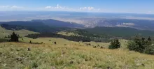 20240821_110403.jpg