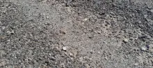 20240825_110746.jpg