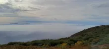 20241027_152623.jpg