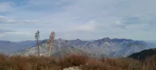 20241027_154625.jpg