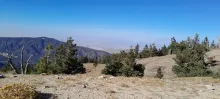 20241019_154136.jpg