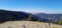 20241019_154140.jpg