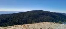 20241019_154142.jpg