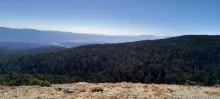 20241019_154143.jpg