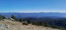 20241019_154150.jpg