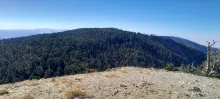 20241019_154220.jpg