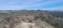 20250222_135216.jpg