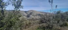 20250222_142352.jpg