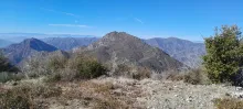 20250202_134940.jpg