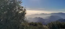 20250202_154028.jpg