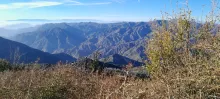 20250202_154406.jpg