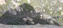 20250216_142921.jpg