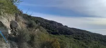 20250216_153445.jpg