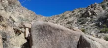 20250309_160317.jpg