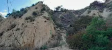 20250330_172648.jpg
