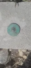 20250316_145142.jpg