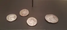 20250419_153950.jpg