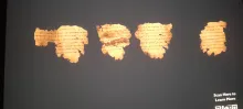 20250419_170727.jpg