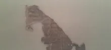 20250419_171018.jpg