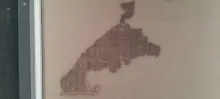 20250419_171024.jpg