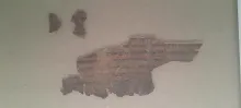 20250419_171034.jpg