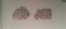20250419_171229.jpg