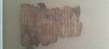 20250419_171241.jpg