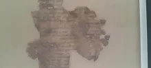 20250419_171628.jpg