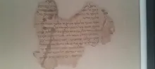 20250419_171724.jpg