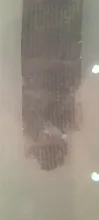 20250419_173310.jpg