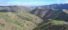 20250427_163317.jpg