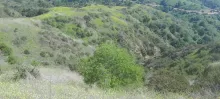 20250420_144524.jpg