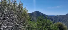 20250510_141059.jpg
