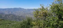 20250510_141115.jpg
