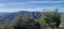 20250510_174243.jpg