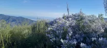 20250510_174348.jpg