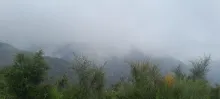 20250517_141039.jpg