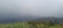 20250517_141051.jpg