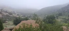 20250503_093915.jpg