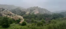 20250503_100702.jpg