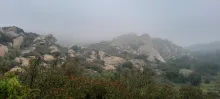 20250503_105850.jpg