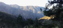 20250620_064357.jpg