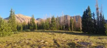 20250708_201320.jpg