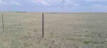20250710_154734.jpg