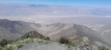 20250706_114224.jpg