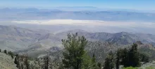 20250706_114543.jpg